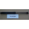 Coppia pistoncini alzavetro posteriore smart 07-14