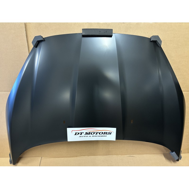 Cofano Ford Fiesta Mk VI 13/17