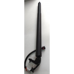 905616ua0c Pistoncino elettrico cofano posteriore sx Qashqai j12