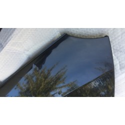 Pannello sinistro porta anteriore Smart fortwo 450 98-07