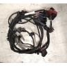 5FF971095D Cablaggio sensori parcheggio Cupra Formentor