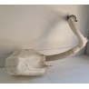 9642546080 Vaschetta liquido tergicristalli Citroen C3