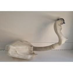 9642546080 Vaschetta liquido tergicristalli Citroen C3