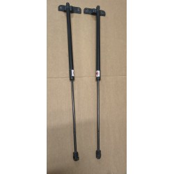 2130816 Coppia Pistoncini portellone Ford C-Max