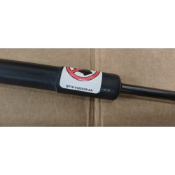 2130816 Coppia Pistoncini portellone Ford C-Max