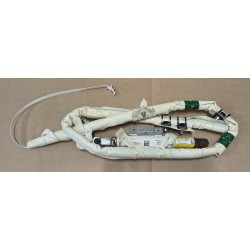 1841603 Airbag Tendina lato...