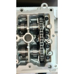 Kit completo Alberi a Camme motori PSA Catena 8mm